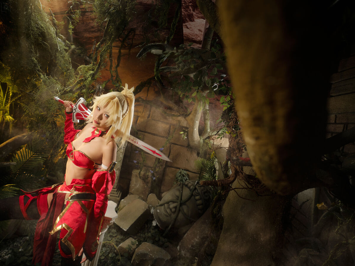 Coser@湖里狸 - 莫德雷德 (31P) 第2张图