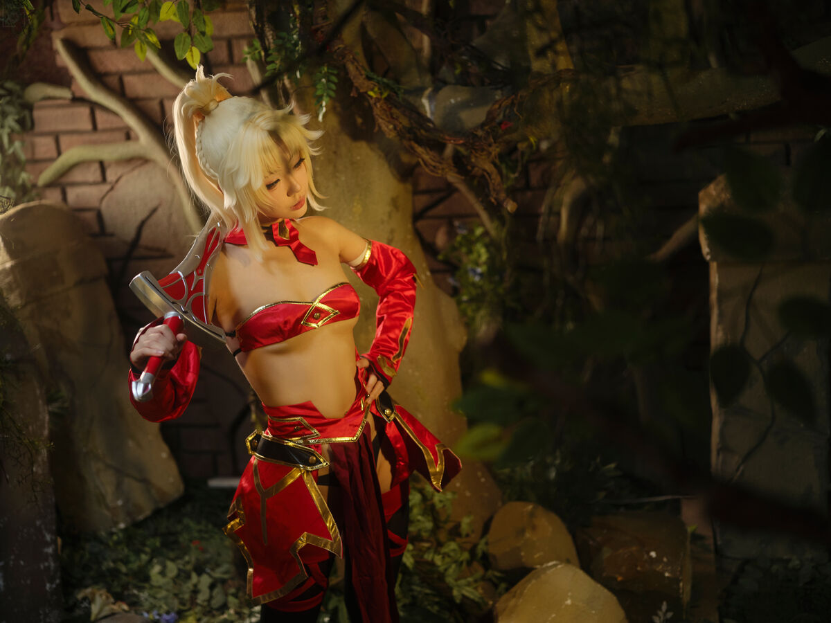 Coser@湖里狸 - 莫德雷德 (31P) 第14张图